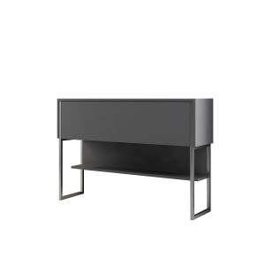 Console moderne 1 porte Sibylle L120cm Bois Anthracite et Métal Argent