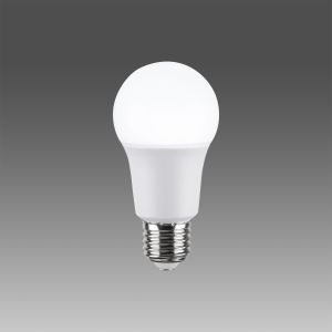 Ampoule LED Claritas 1000lm blanc