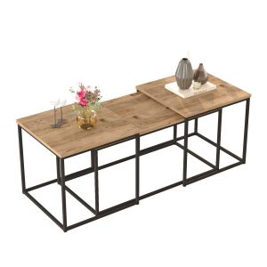 Set de tables basses gigognes style industriel Dawit Bois clair et Métal Noir