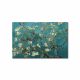 Tableau décoratif Zeichen L45xH70 Motif Fleurs d'amandier Vert et Jaune