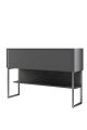 Console moderne 1 porte Sibylle L120cm Bois Anthracite et Métal Argent