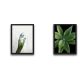 Lot de 2 tableaux Duo L30xH40 Motif Main et plante Vert