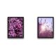 Lot de 2 tableaux Duo L30xH40cm Motif Fleurs lilas et lavande Violet