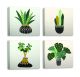 Lot de 4 tableaux Nizrug L30xH30cm Motif Plante dans les pots