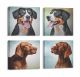 Lot de 4 tableaux Pictura L30xH30cm Motif Chiens Multicolore