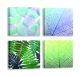 Lot de 4 tableaux Pictura L30xH30cm Motif Feuilles Bleu et Vert