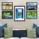 Lot de 5 tableaux encadrés Noir Aranea Motif Photo évasion tropical