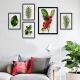 Lot de 5 tableaux encadrés Noir Aranea Motif Rameaux de plantes