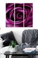 Triptyque Fabulosus L70xH50cm Motif Cœur de roses Nuances de pourpre