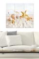 Triptyque Fabulosus L70xH50cm Motif Collection étoiles de mer et coquillages