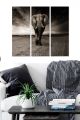 Triptyque Fabulosus L70xH50cm Motif Eléphant solitaire Nuances de gris