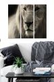 Triptyque Fabulosus L70xH50cm Motif Regard de lion Nuances de gris