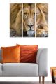 Triptyque Fabulosus L70xH50cm Motif Tête de lion